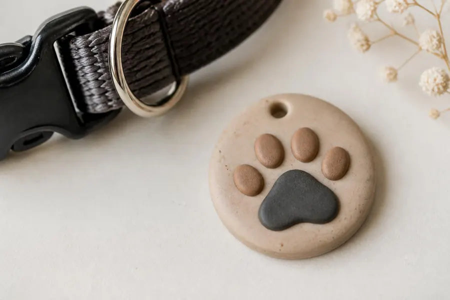 Chapita con collar